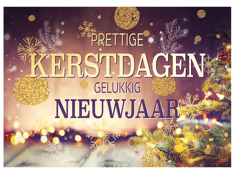 92.570 Zakelijke kerstkaart, kerstgroet, goud, glitters FamilyCards